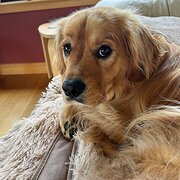 Montagu Bay, Tasmania, Australia