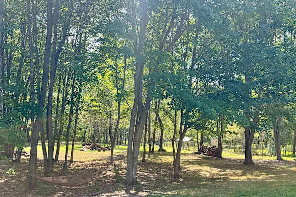 Lewiston, Maine, United States