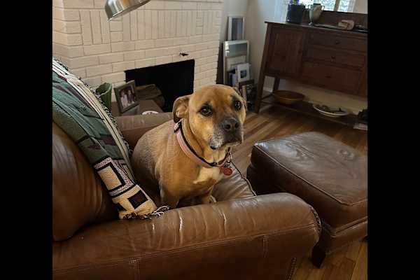 Hyattsville, Maryland, United States