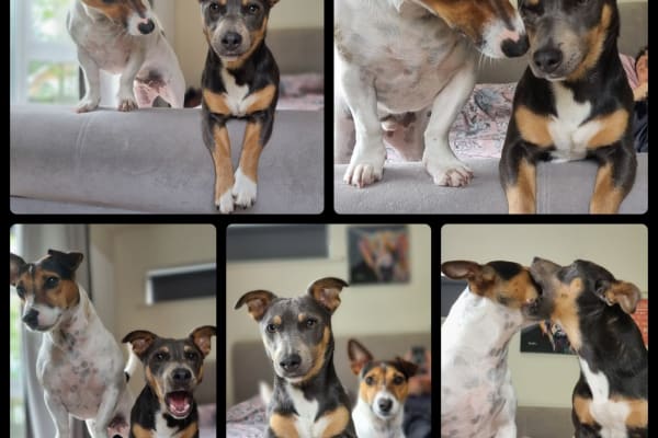 Chepstow, Wales, United Kingdom