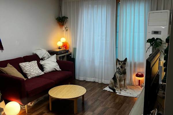 Suwon-si, Gyeonggi-do, South Korea