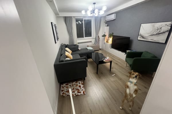 Shanghai, Shanghai Shi, China