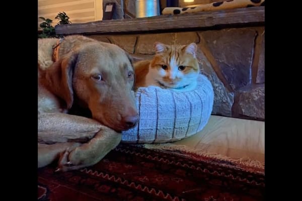 Banff, Alberta, Canada