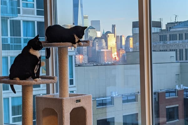 Jersey City, New Jersey, United States