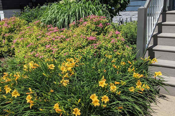 Halifax, Nova Scotia, Canada