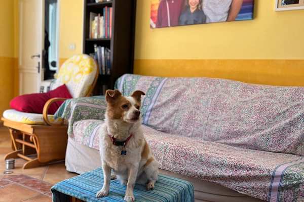 Anguillara Sabazia, Latium, Italy