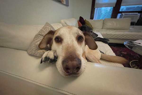 Chicago, Illinois, United States