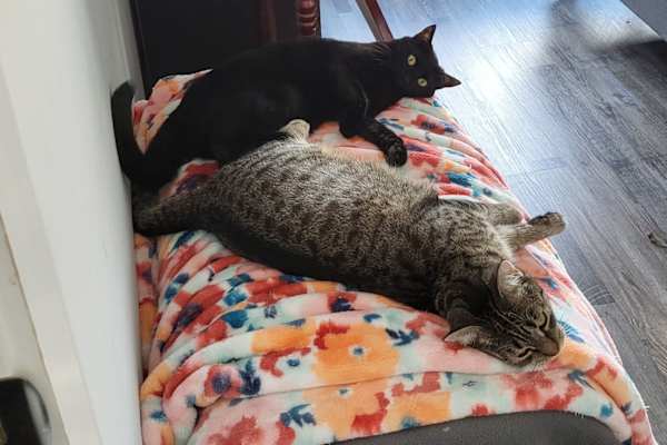 Newark, New Jersey, United States