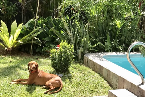 Singapore, Central Singapore, Singapore