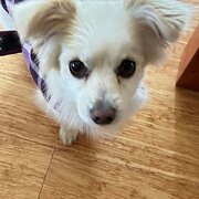 Strahan, Tasmania, Australia