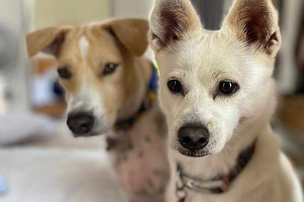 Denpasar, Bali, Indonesia