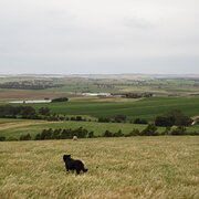 Watervale, South Australia, Australia