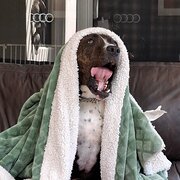 Port Noarlunga South, South Australia, Australia