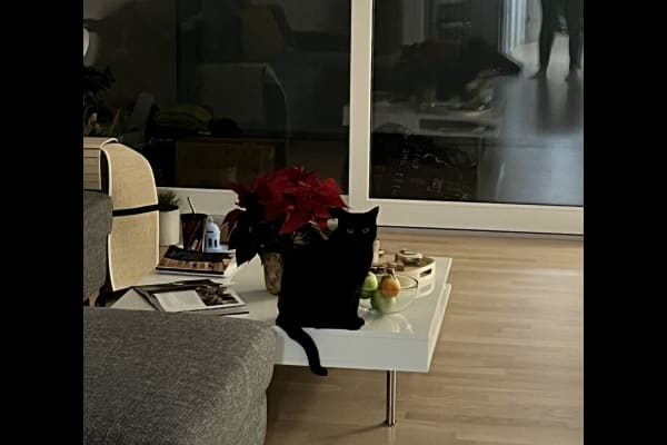 Wallisellen, Zurich, Switzerland