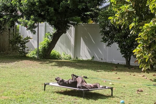 Kailua, Hawaii, United States