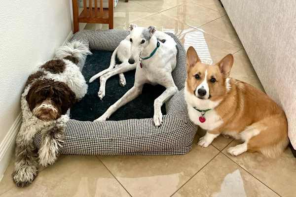 Las Vegas, Nevada, United States