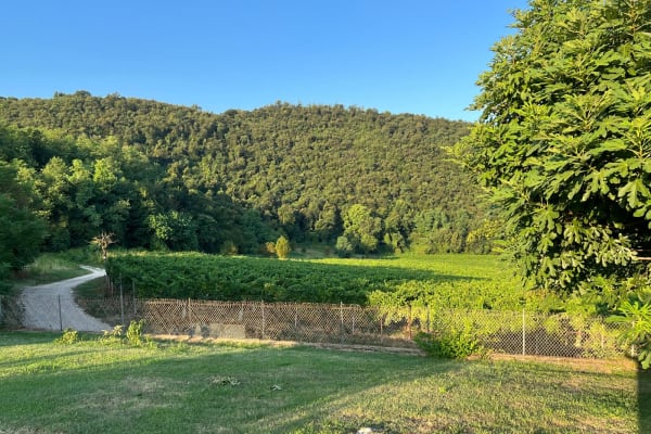 Longare, Veneto, Italy