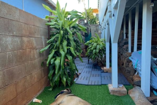 Honolulu, Hawaii, United States