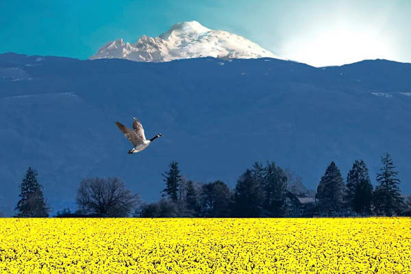 La Conner, Washington, United States