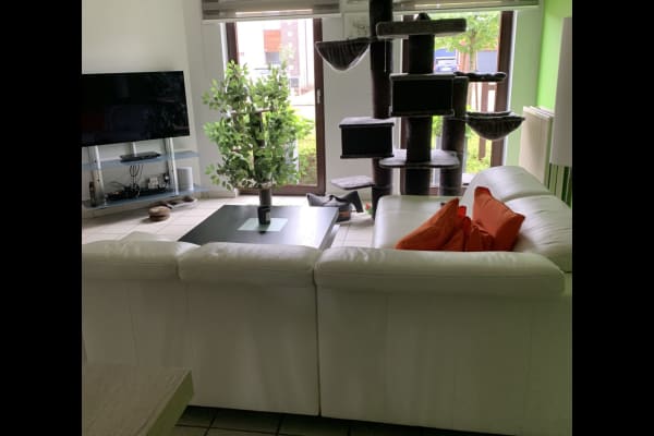 Turnhout, Flanders, Belgium