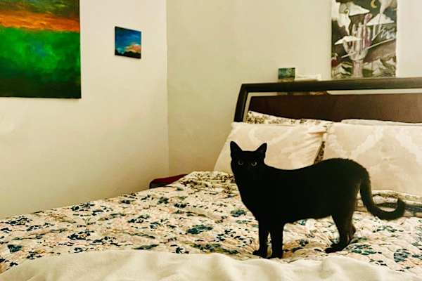 New Orleans, Louisiana, United States