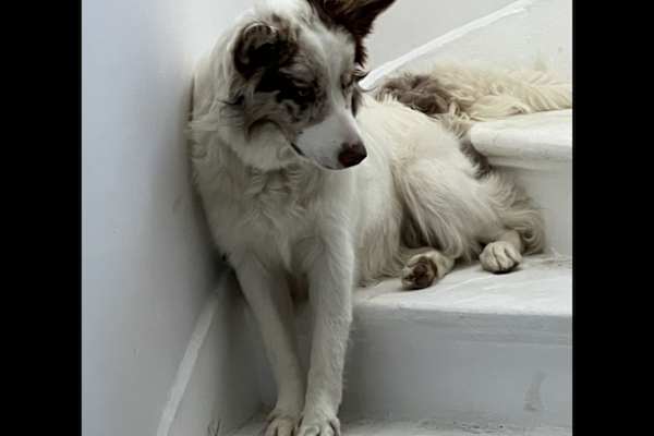 Edinburgh, Scotland, United Kingdom