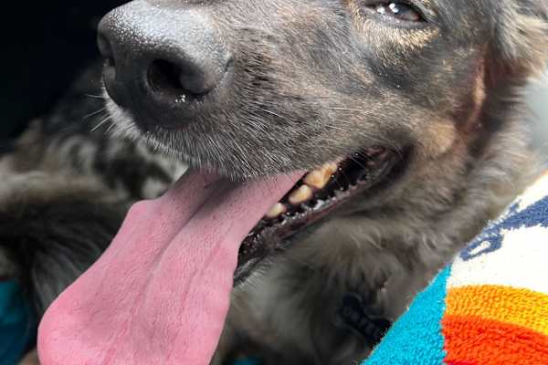 New Haven, Connecticut, United States