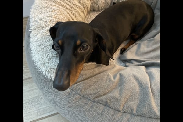 Phoenix, Arizona, United States