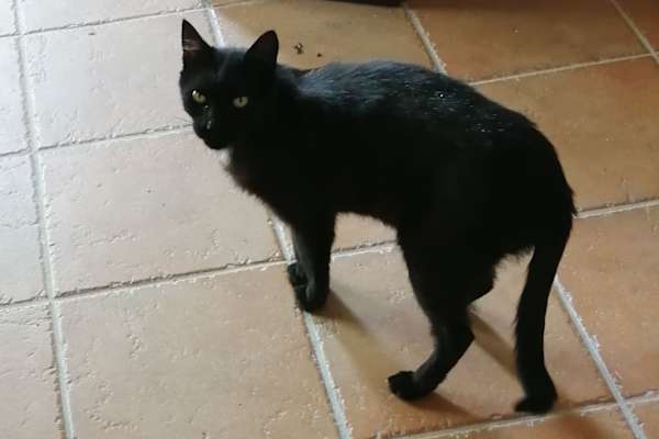 Panicale, Umbria, Italy