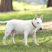 Hallett Cove, South Australia, Australia