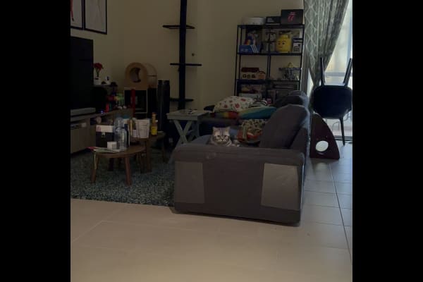 Dubai, Dubai, United Arab Emirates