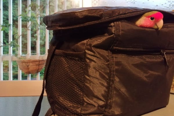 Nara-shi, Nara, Japan