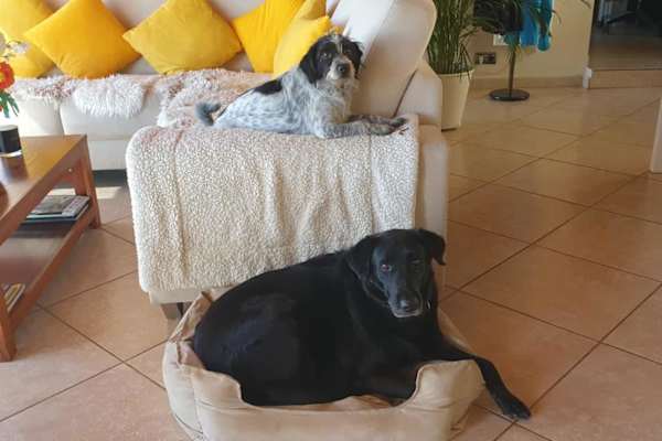 Frigiliana, Andalusia, Spain