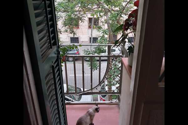 Barcelona, Catalonia, Spain