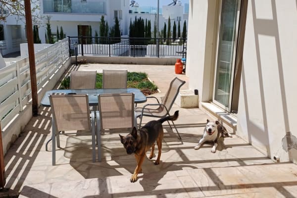 Pégeia, Pafos, Cyprus