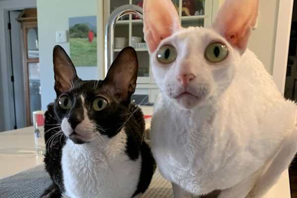 Halifax, Nova Scotia, Canada