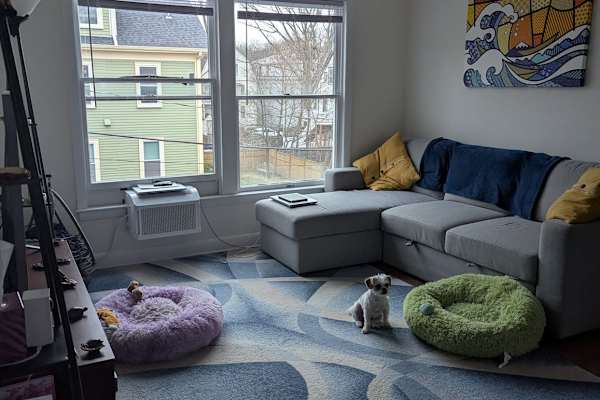 Somerville, Massachusetts, United States