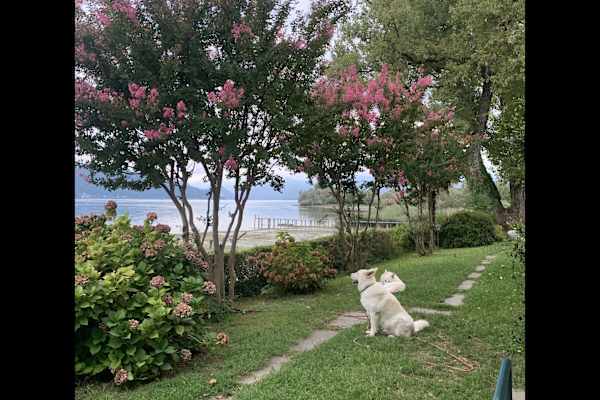 Ispra, Lombardy, Italy