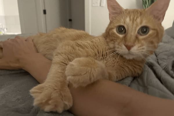 Fayetteville, Arkansas, United States