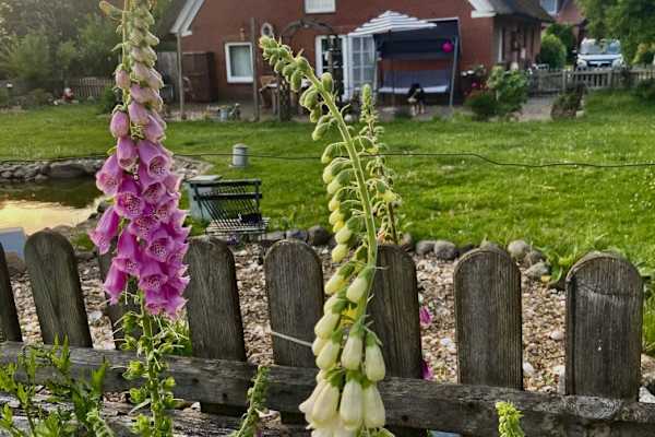Buxtehude, Lower Saxony, Germany
