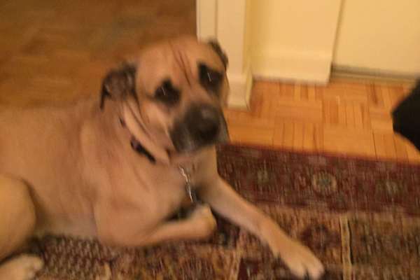 Montréal, Quebec, Canada