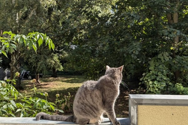 Berlin, Berlin, Germany