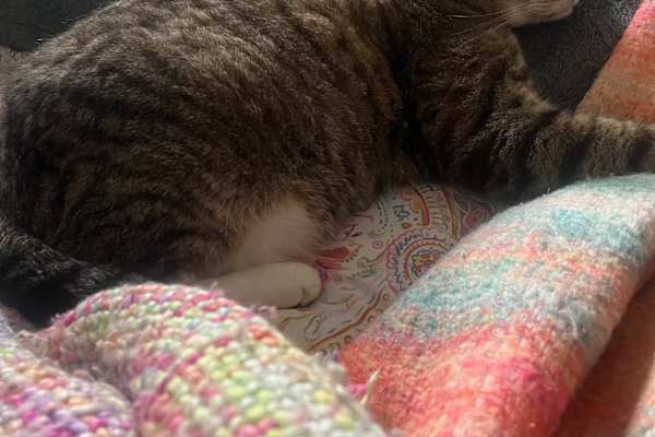 Glasgow, Scotland, United Kingdom