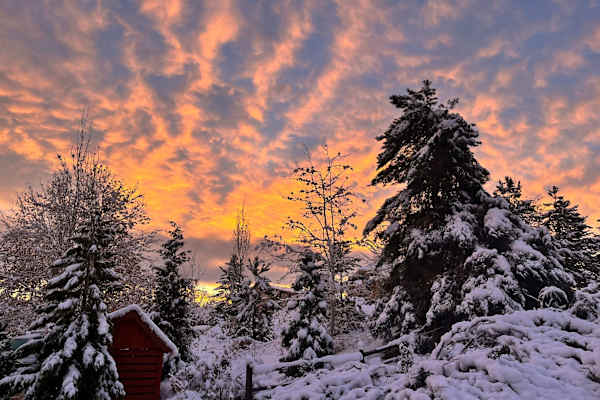 Reno, Nevada, United States