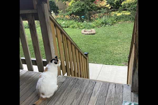 Chicago, Illinois, United States