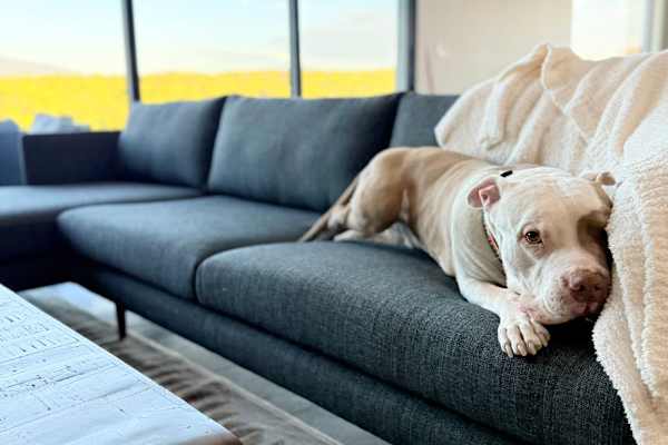 Santa Fe, New Mexico, United States