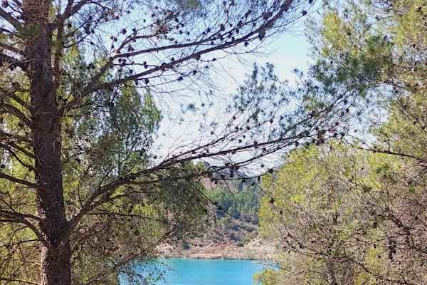 Navarrés, Valencia, Spain