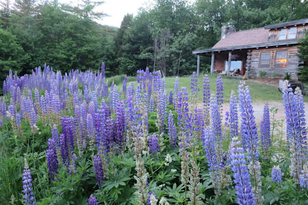 Richmond, Vermont, United States