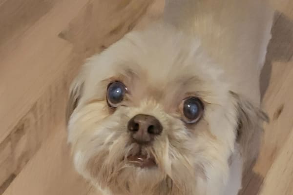 Asheville, North Carolina, United States