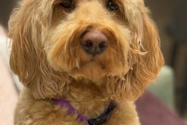 Winston-Salem, North Carolina, United States